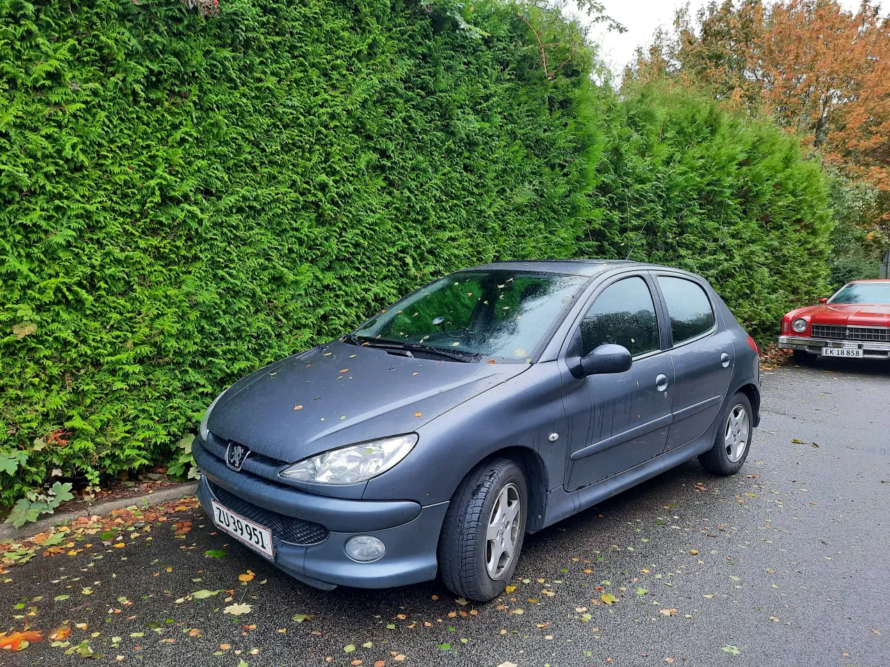 Billede 3 - Peugeot 206 HDI 5 dørs 