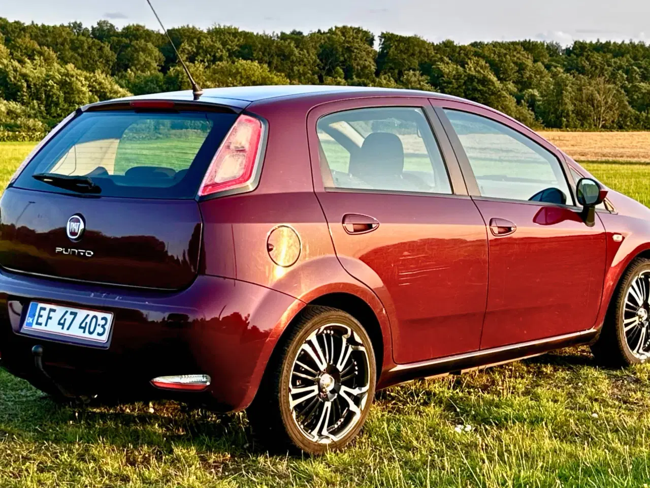 Billede 4 - Fiat Punto 1,3MJT 85