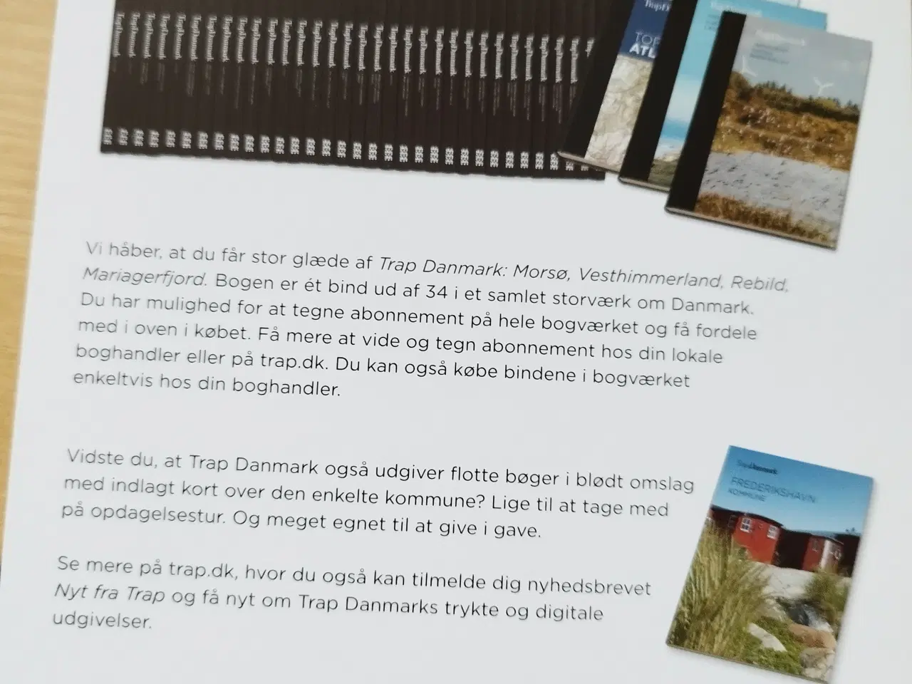 Billede 1 - Trap Danmark 