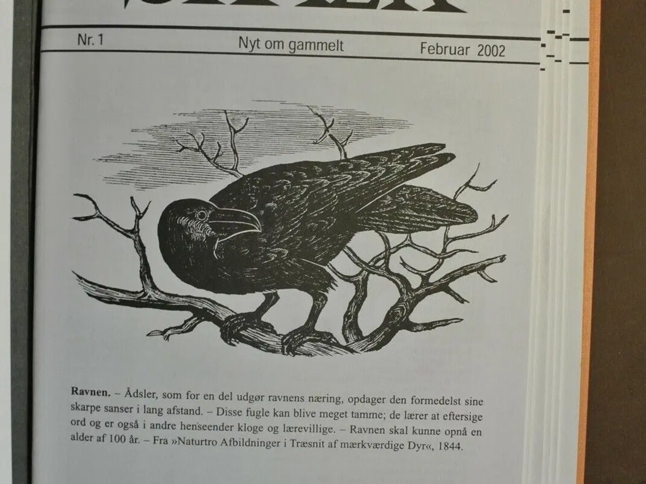 Billede 2 - skalk nr. 1-6 2002 + særnummer i samlemappe, emne: