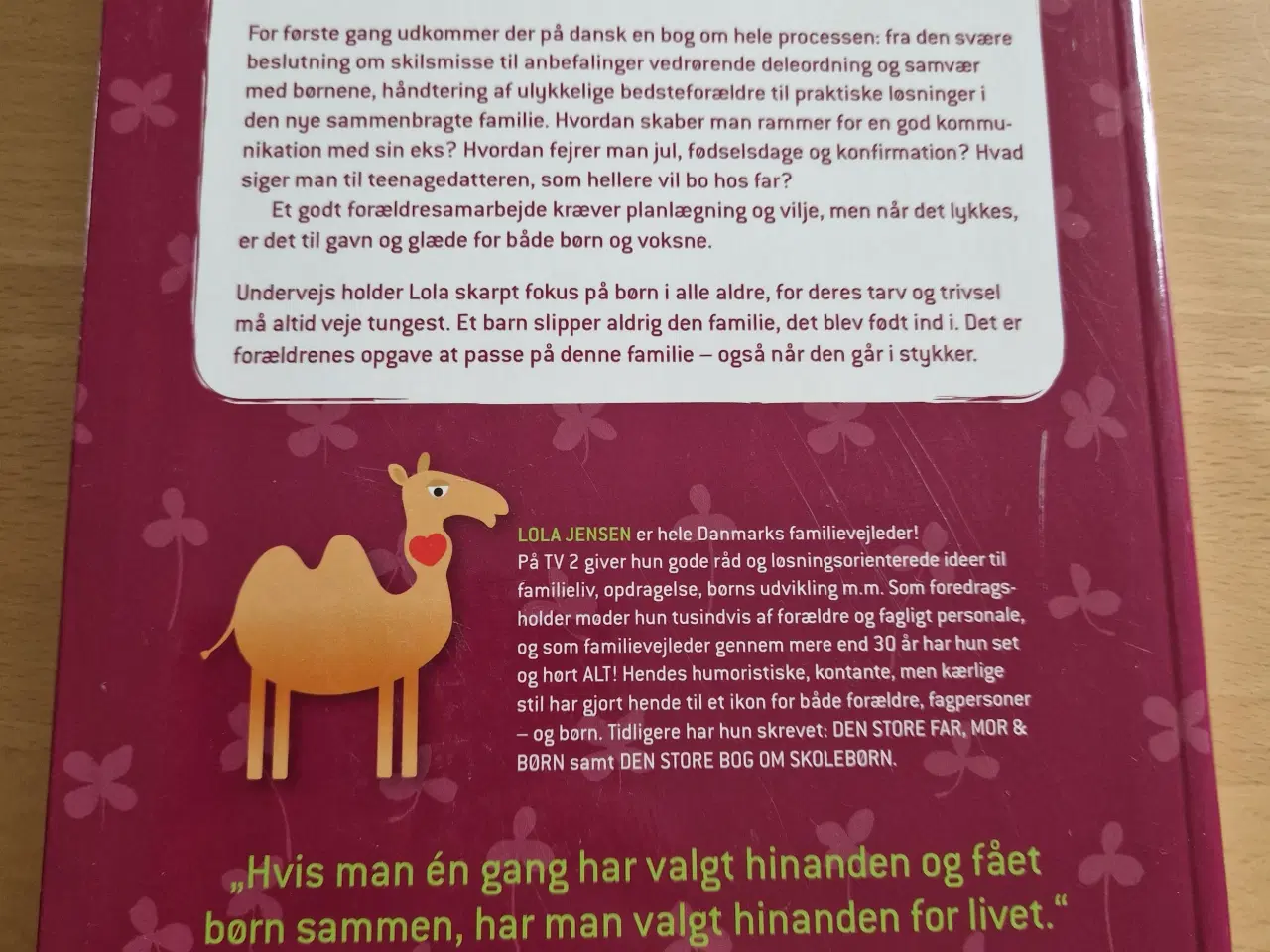 Billede 2 - Pas på familien 