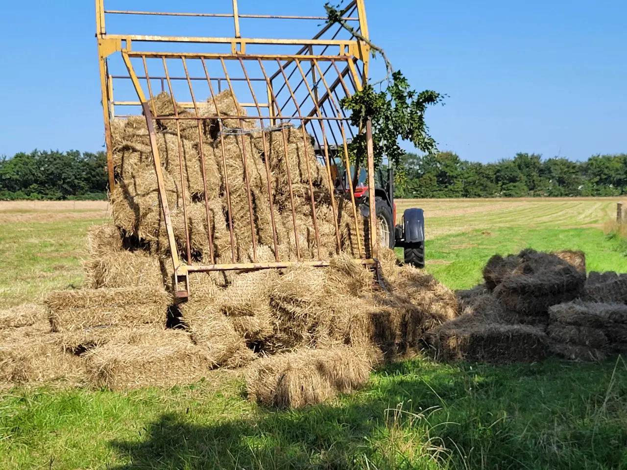 Billede 3 - Hø I Morten Korch små baller