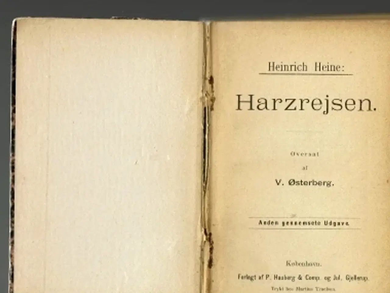 Billede 2 - Heinrich Heine: Harzrejsen