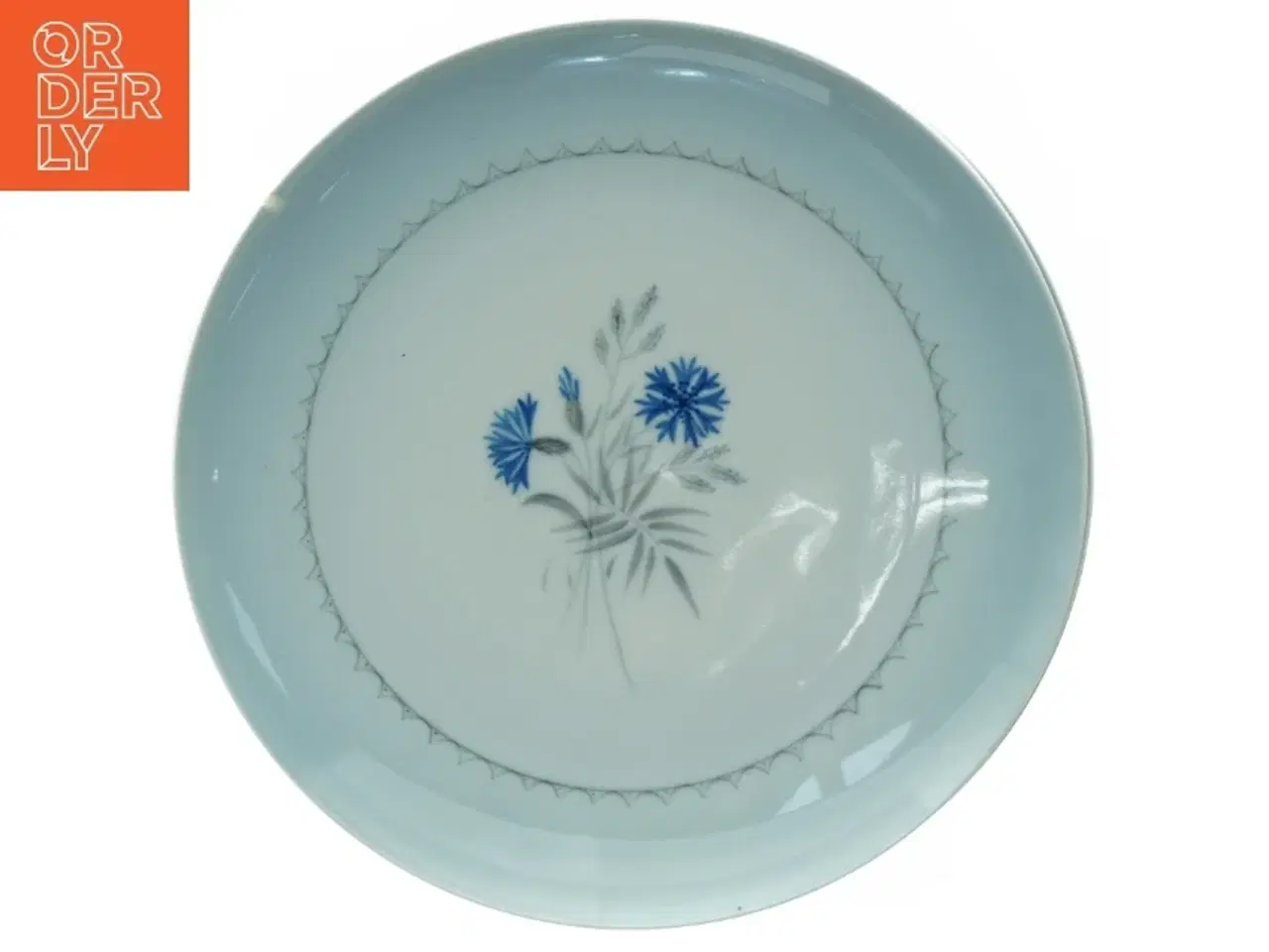 Billede 1 - Tallerkener med blomsterdekoration, blå kornblomst, demeter fra Bing Og Grøndahl (str. Diameter, 24 cm)