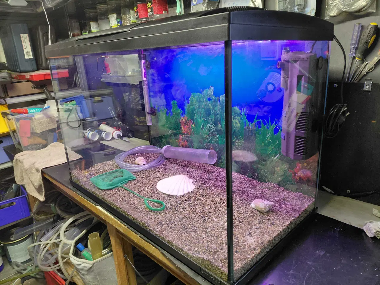 Billede 2 - Akvarier 150L