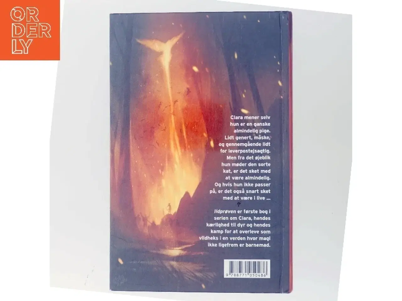 Billede 3 - Vildheks. Bind 1, Ildprøven af Lene Kaaberbøl (Bog)