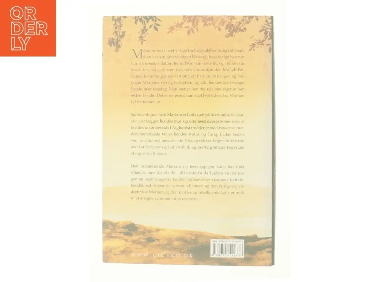 Billede 3 - Under en strålende sol af Khaled Hosseini