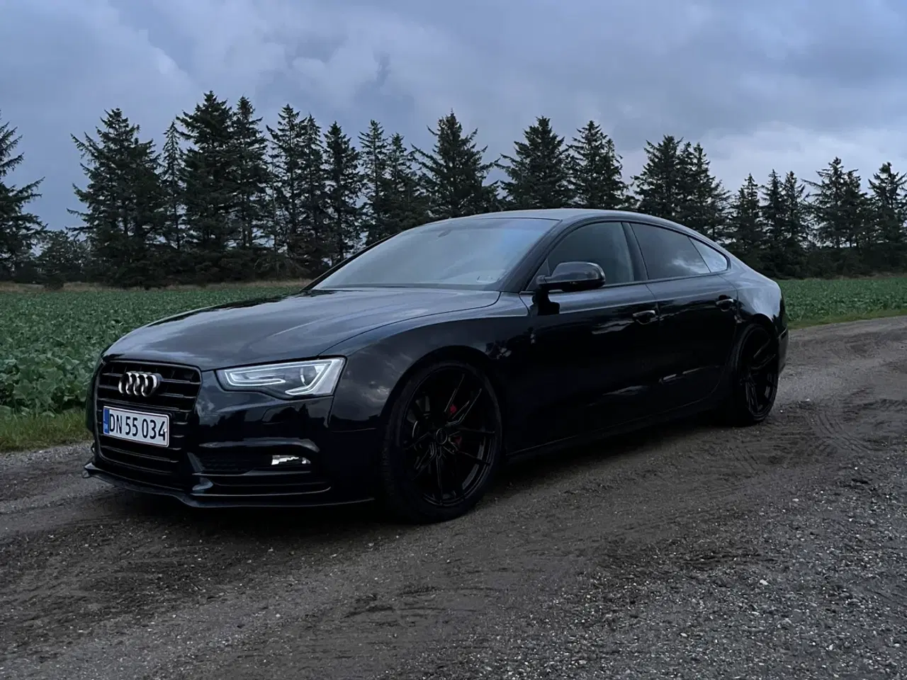 Billede 5 - Audi A5 3.0 TDI 204HK Multitronic 2013