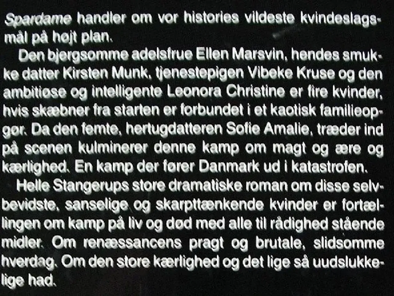 Billede 2 - Spardame af Helle Stangerup