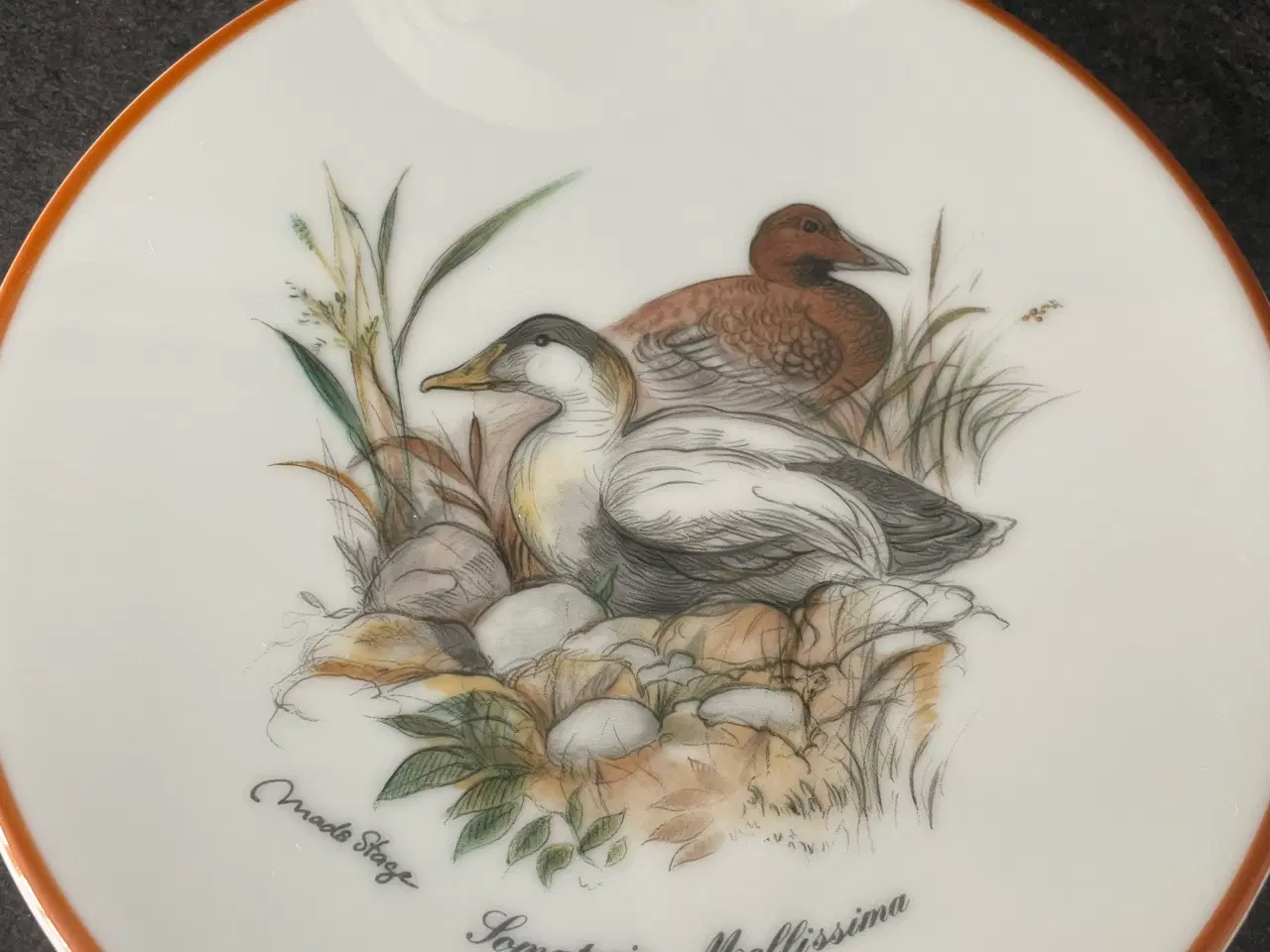 Billede 2 - Mads Stage 1987