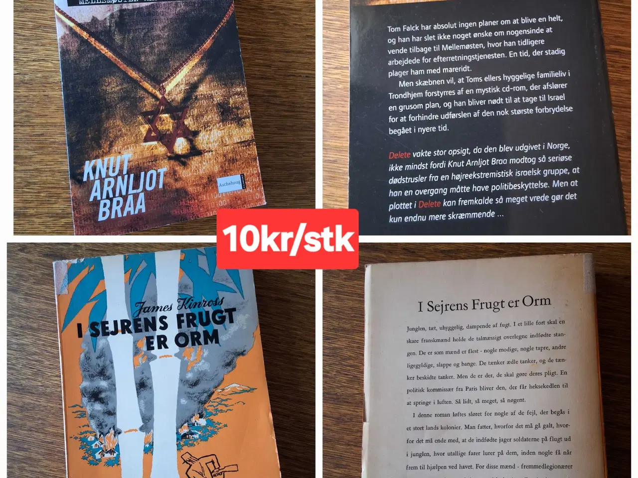 Billede 6 - BOG-UDSALG - 10kr/stk. 
