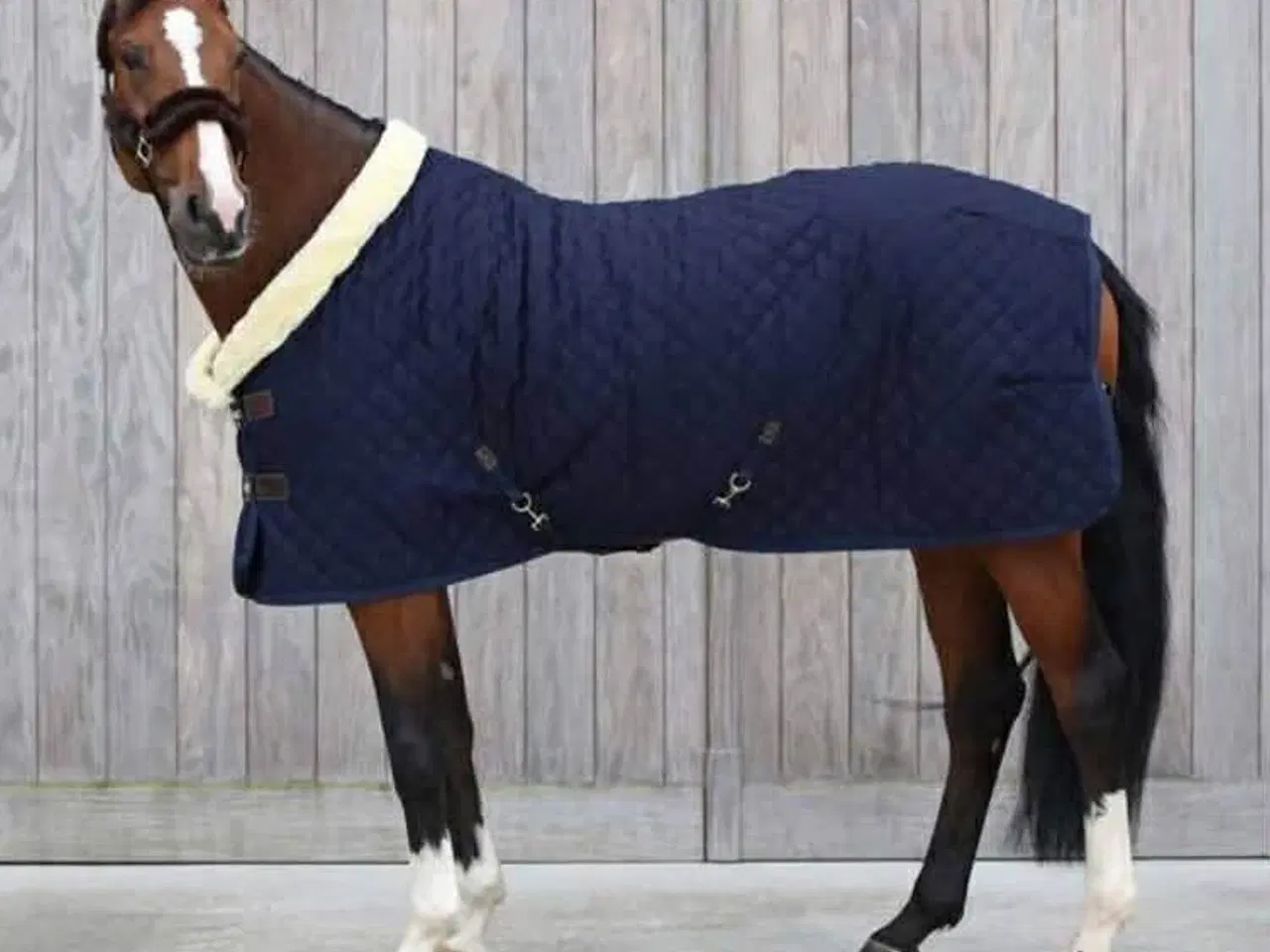 Billede 1 - Kwntucky show dækken 