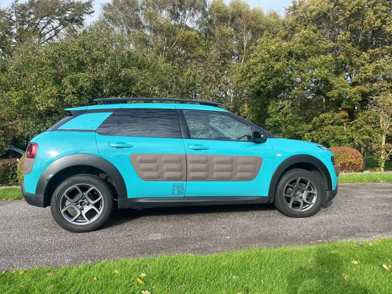 Billede 4 - Citroën C4 Cactus 1,6 BlueHDi 100 Shine ETG6 Van