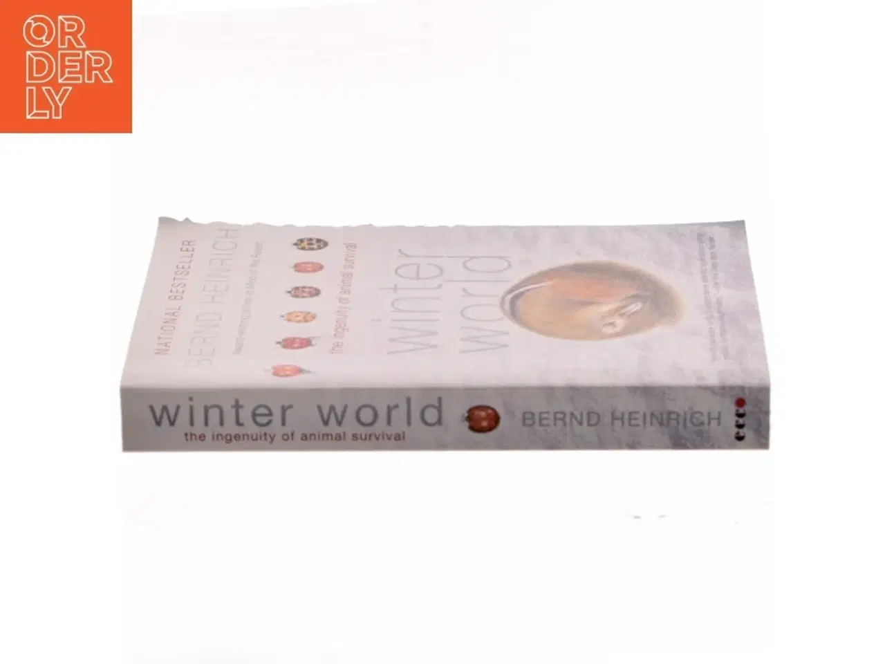 Billede 2 - Winter World af Bernd Heinrich (Bog)