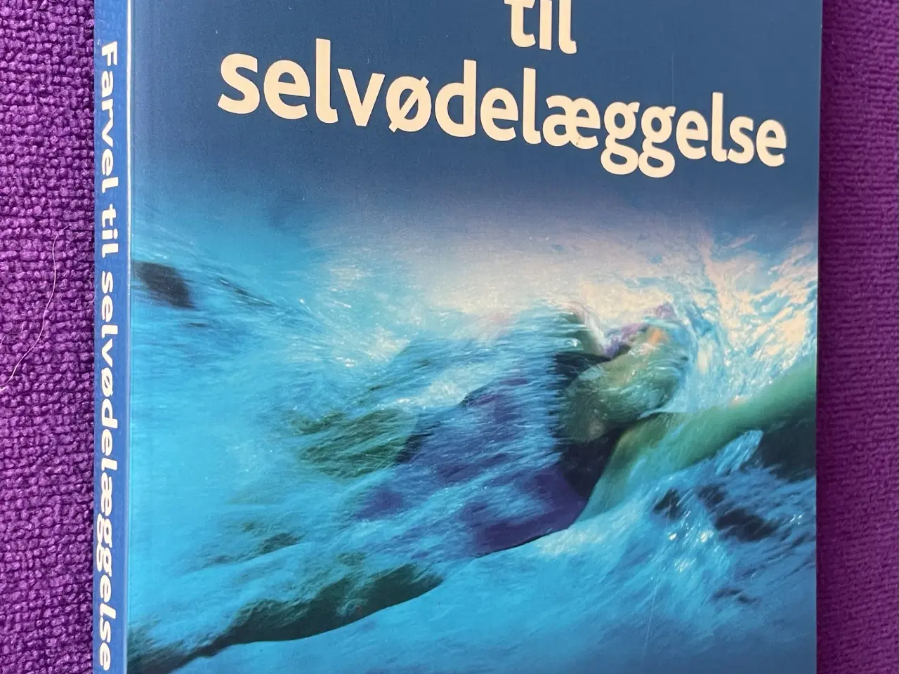 Billede 1 - Farvel til selvødelæggelse