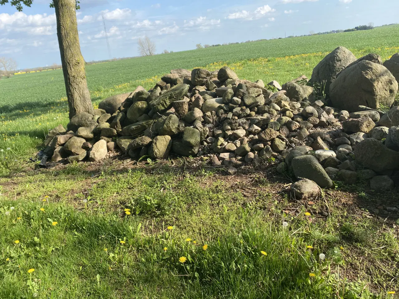 Billede 2 - Have / Marksten