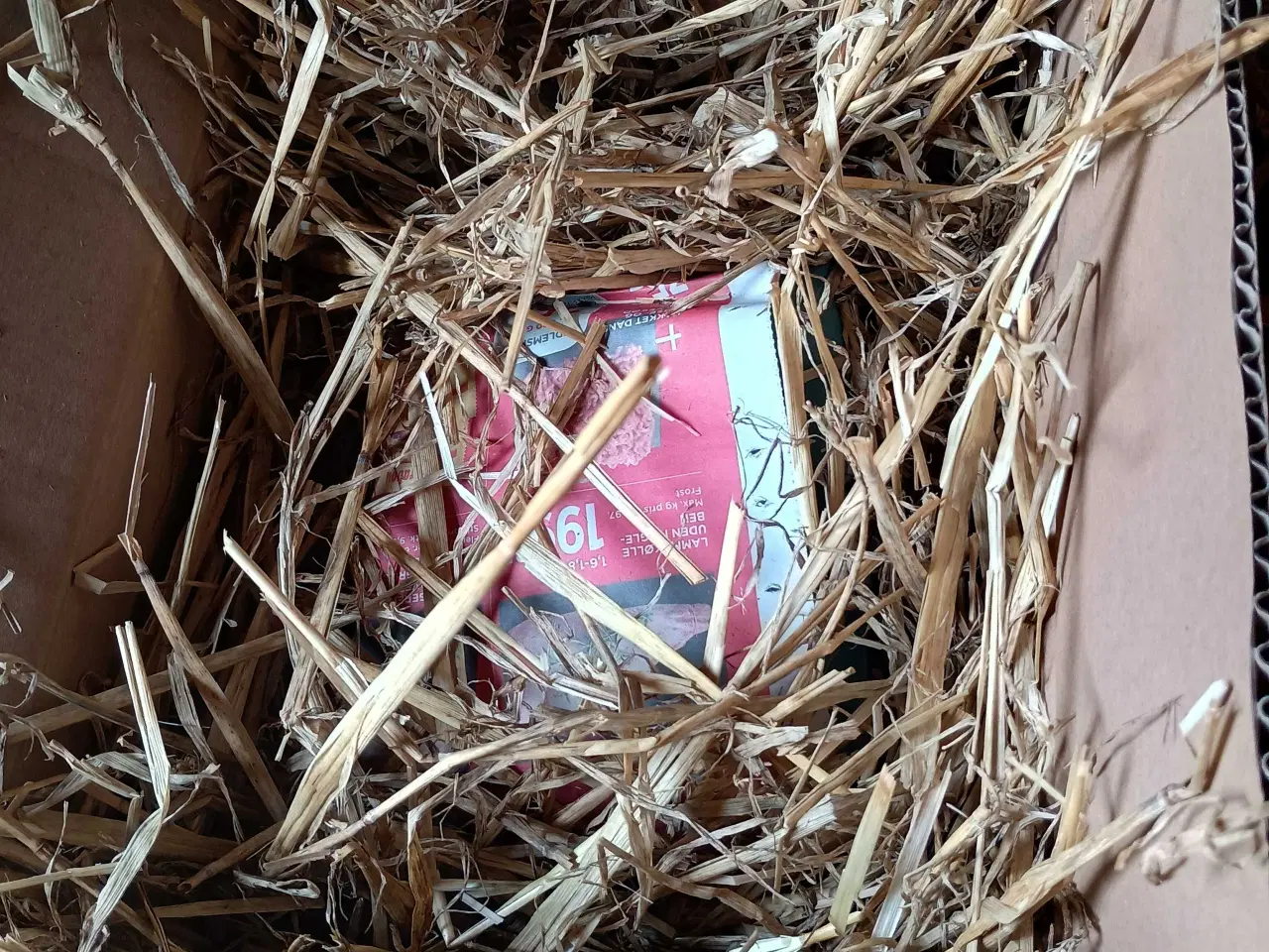 Billede 6 - Multifarvede rugeæg 