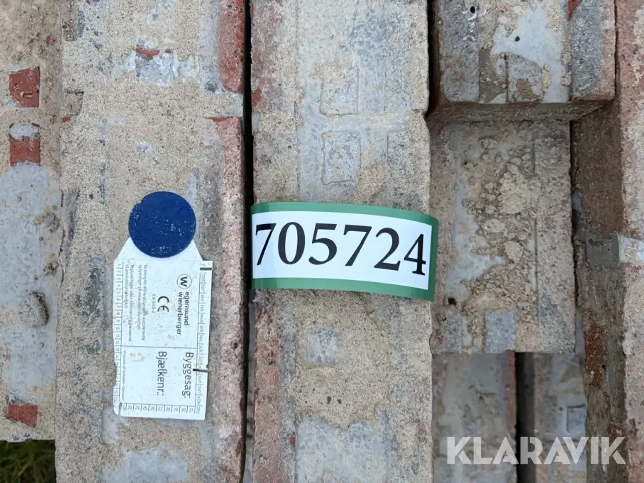 Billede 9 - Overlæggere 21 styk