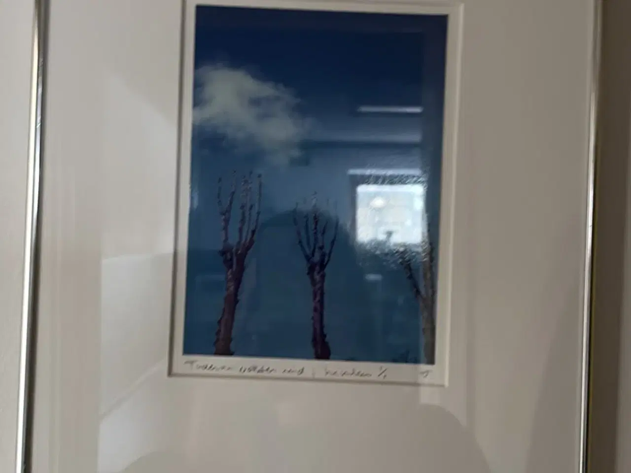 Billede 3 - Billeder 