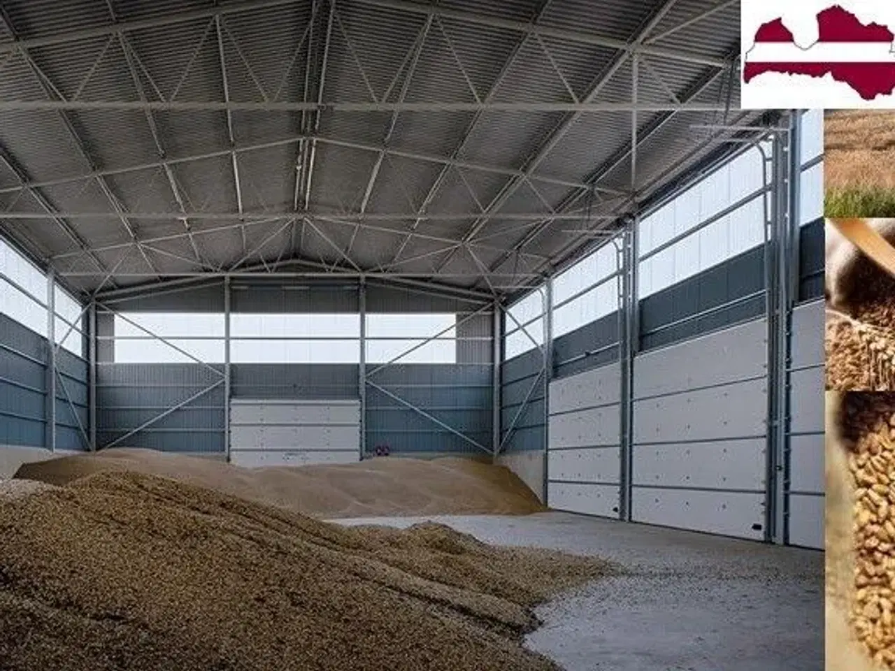 Billede 1 - Grain farm in Latvia for sale