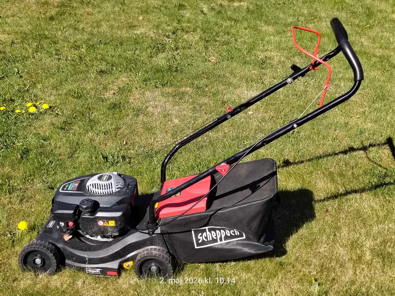 Billede 1 - Scheppach QE5 131cc