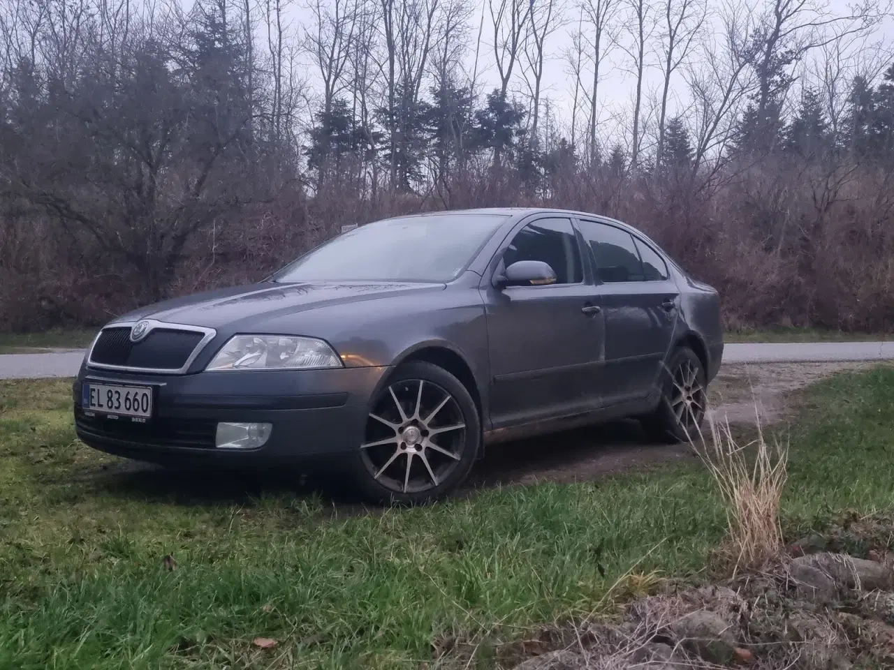 Billede 1 - Skoda Octavia 2,0 TDi Elegance