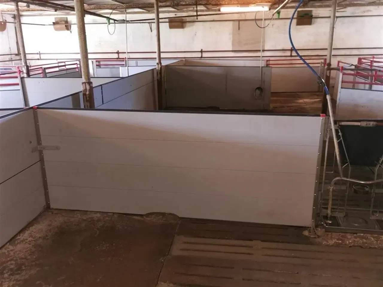 Billede 4 - Egebjerg Slagtesvin inventar