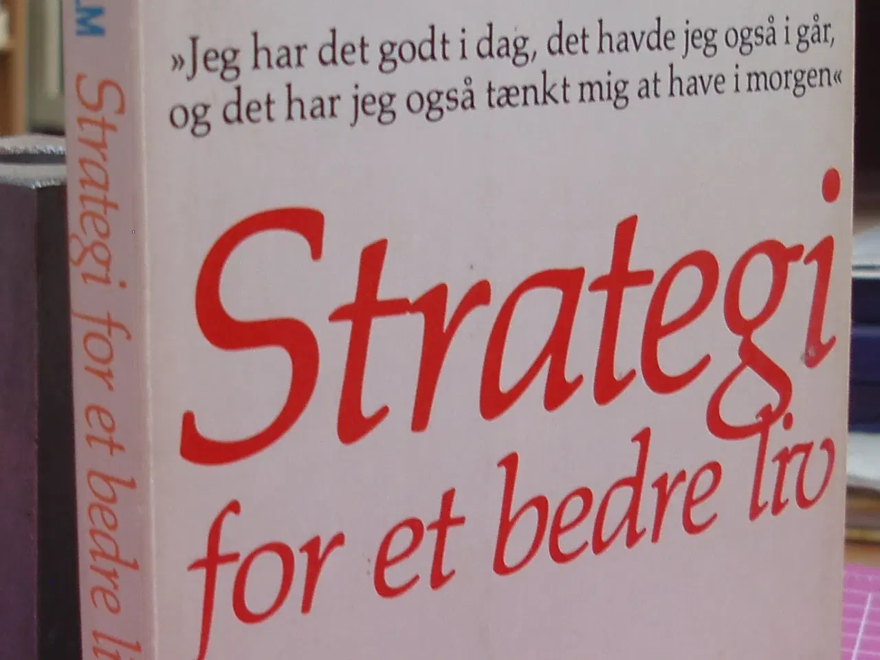 Billede 1 - Strategi for et bedre liv af Lars Okholm