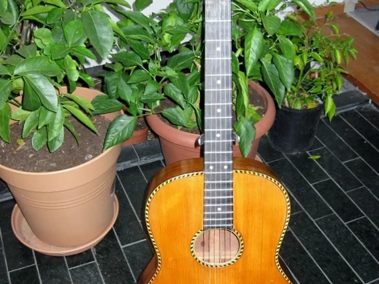 Billede 1 - Håndbygget klassisk guitar