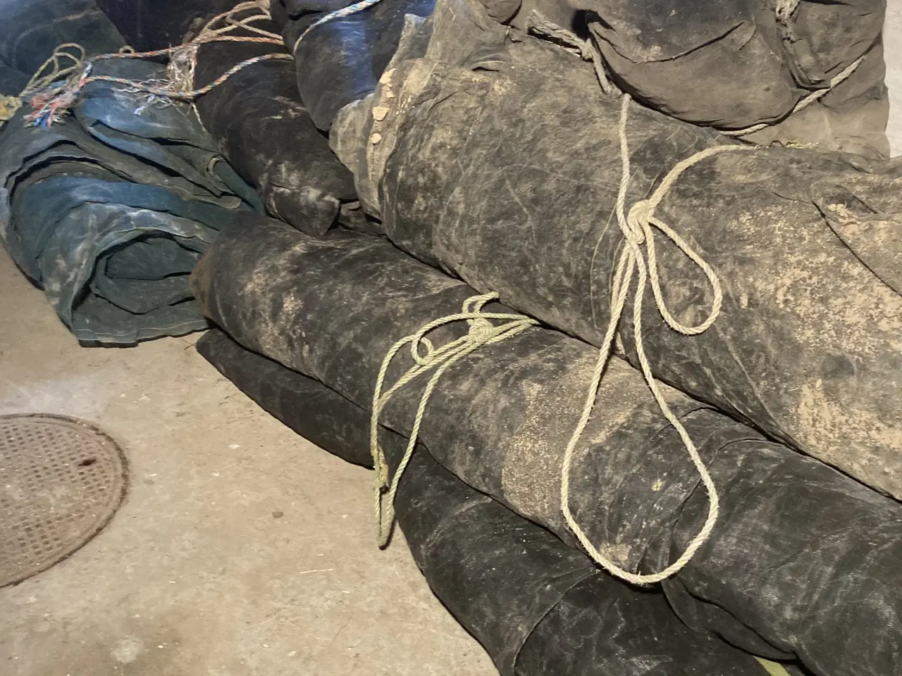 Billede 2 - Ensilagenet 