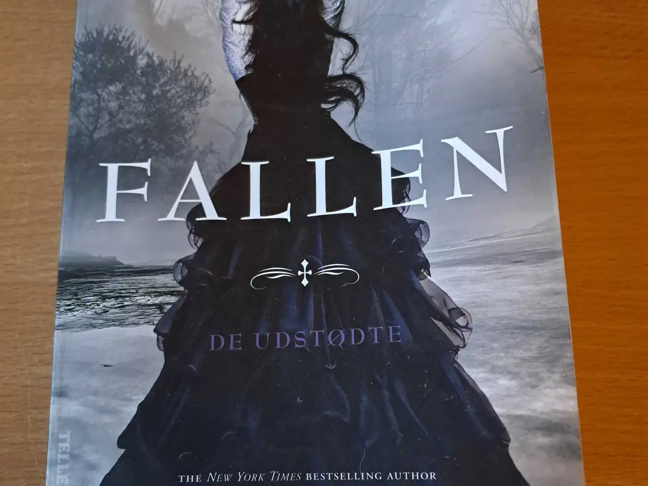 Billede 1 - Fallen 2 bog/book