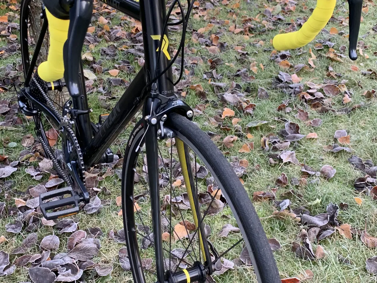 Billede 2 - Radon R1 racercykel str. 60 *Helt ny geargruppe* #