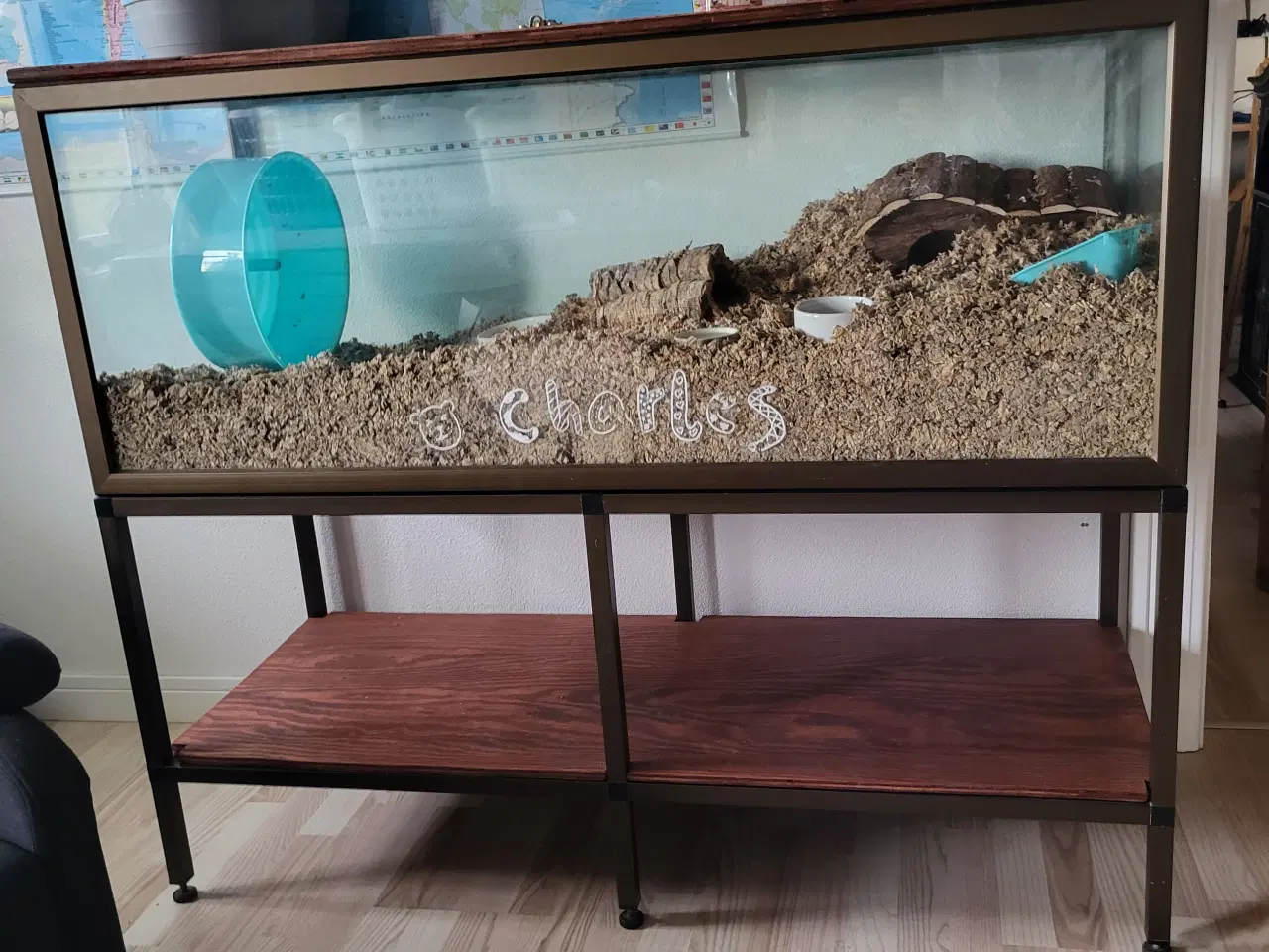 Billede 1 - Langhåret guldhamster med tilbehør 