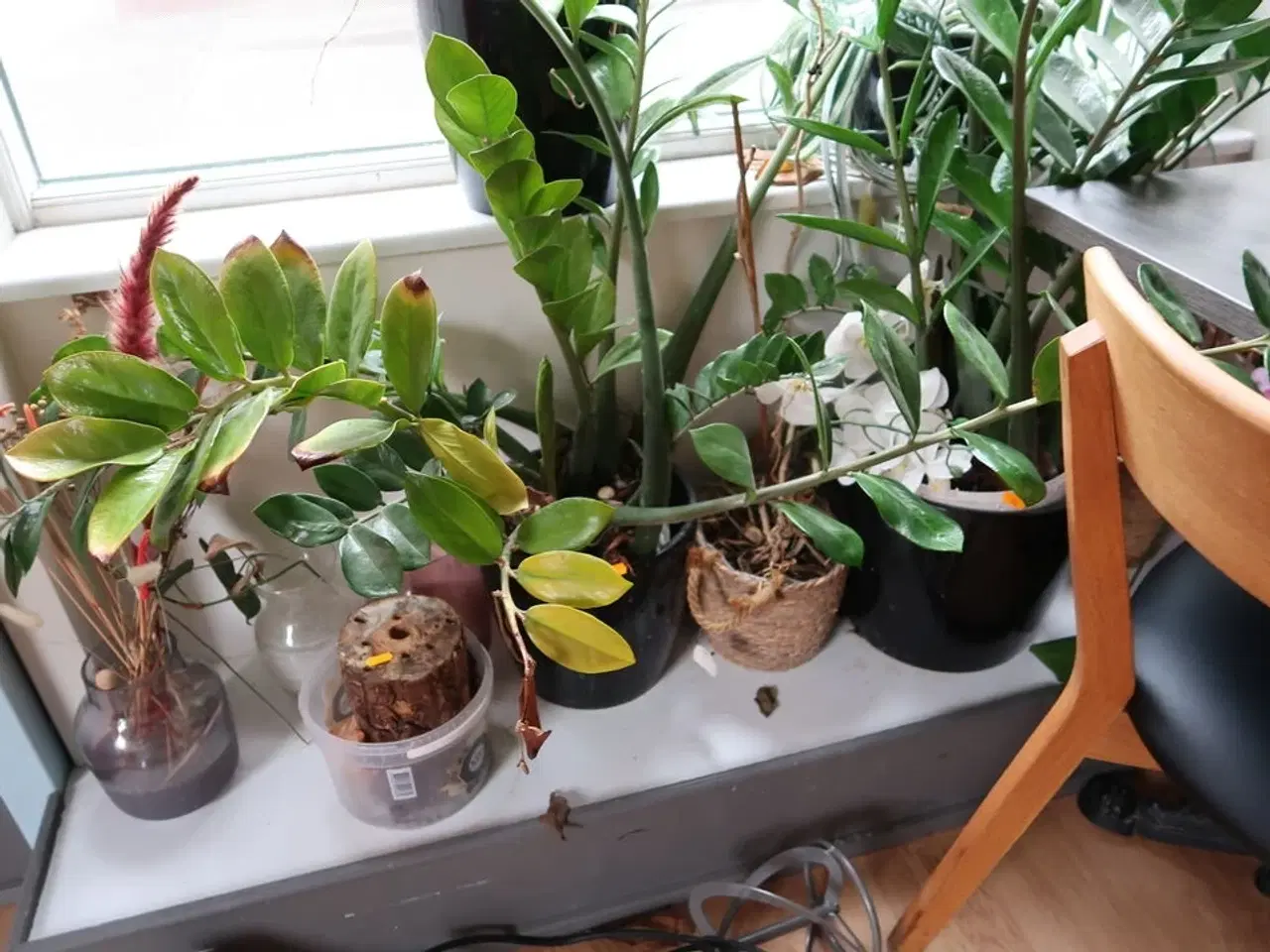 Billede 3 - Div. Krukker med planter