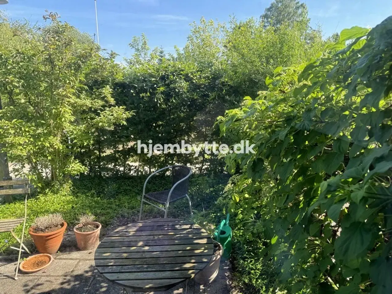 Billede 2 - Hjembytte - Baunebjergvej