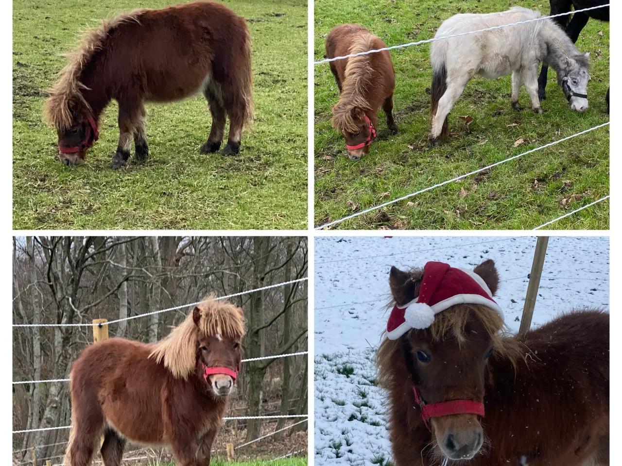 Billede 1 - Mini knapstrupper 