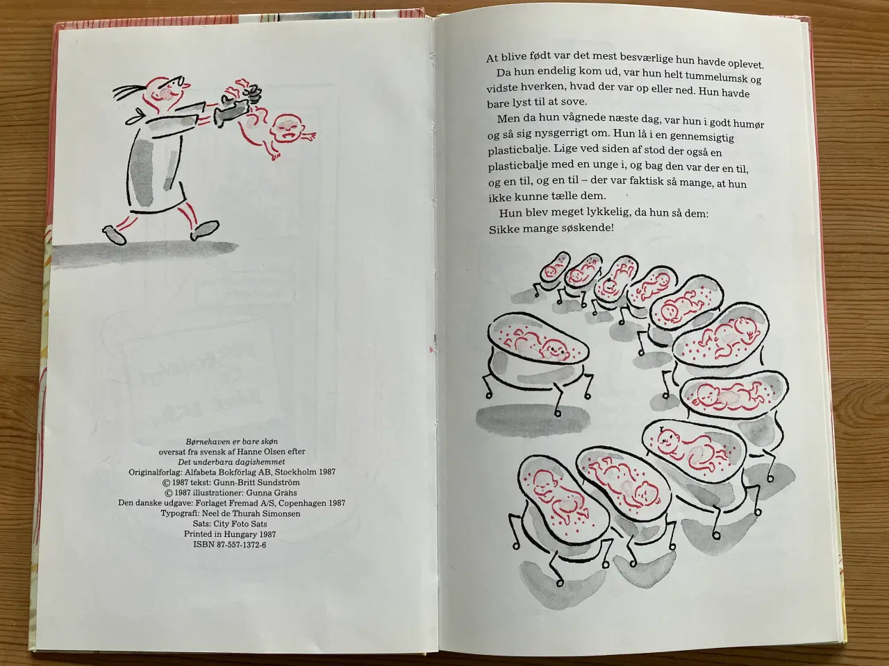 Billede 3 - Hvad skal vi lege og Legebogen