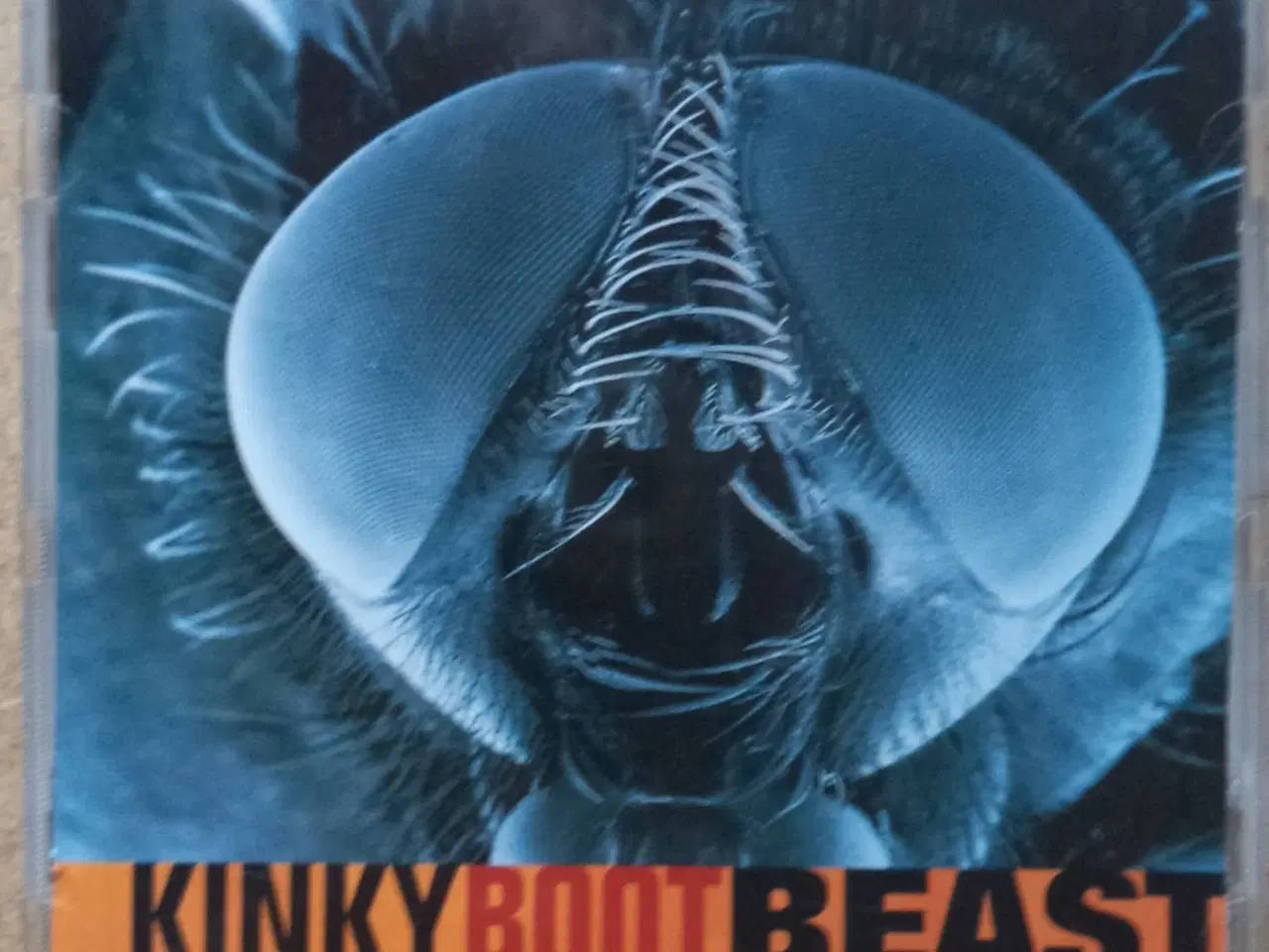 Billede 1 - Kinky Boot Beast ** Insect Psycho Tango           