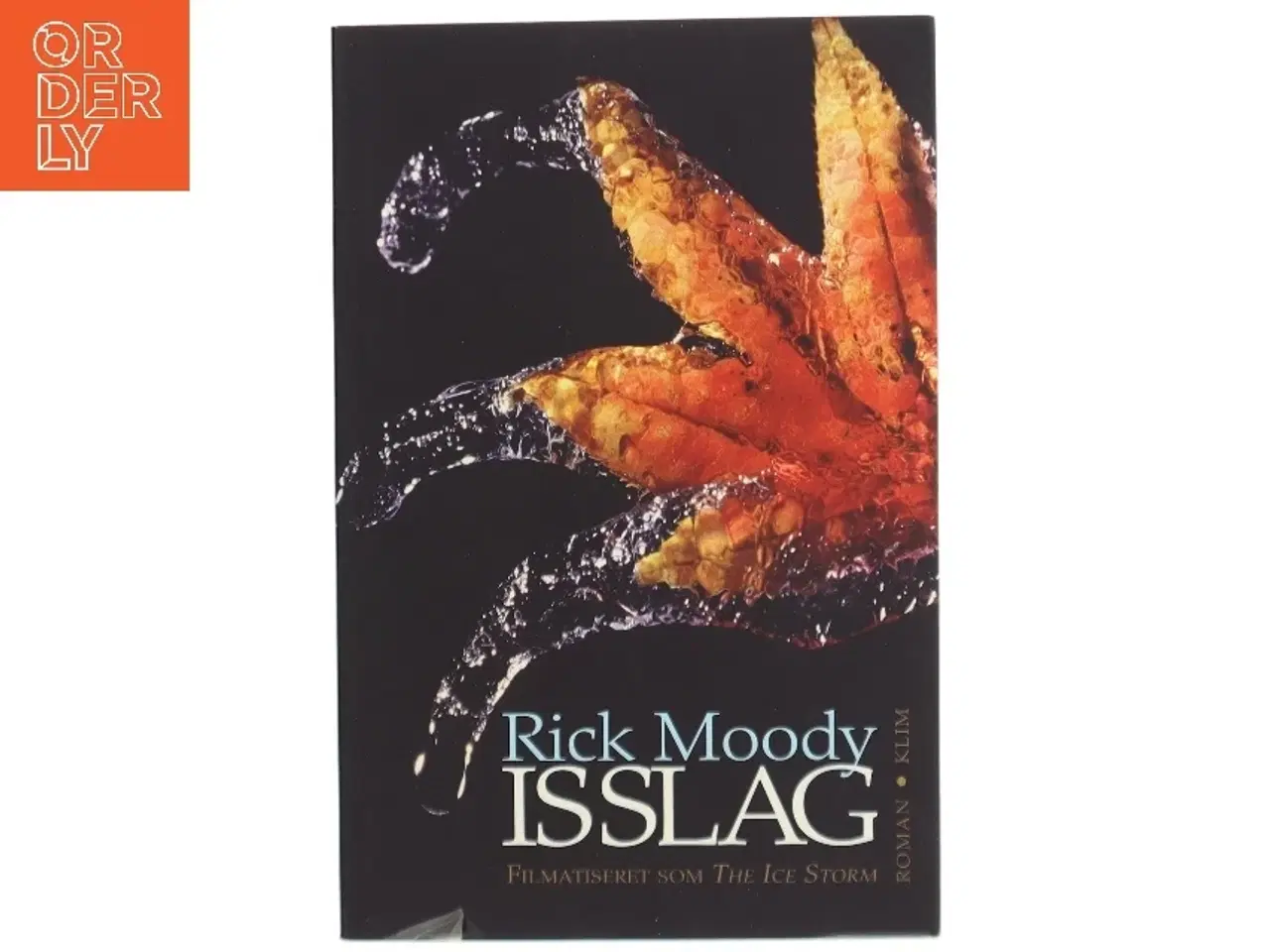 Billede 1 - Isslag af Rick Moody (Bog)