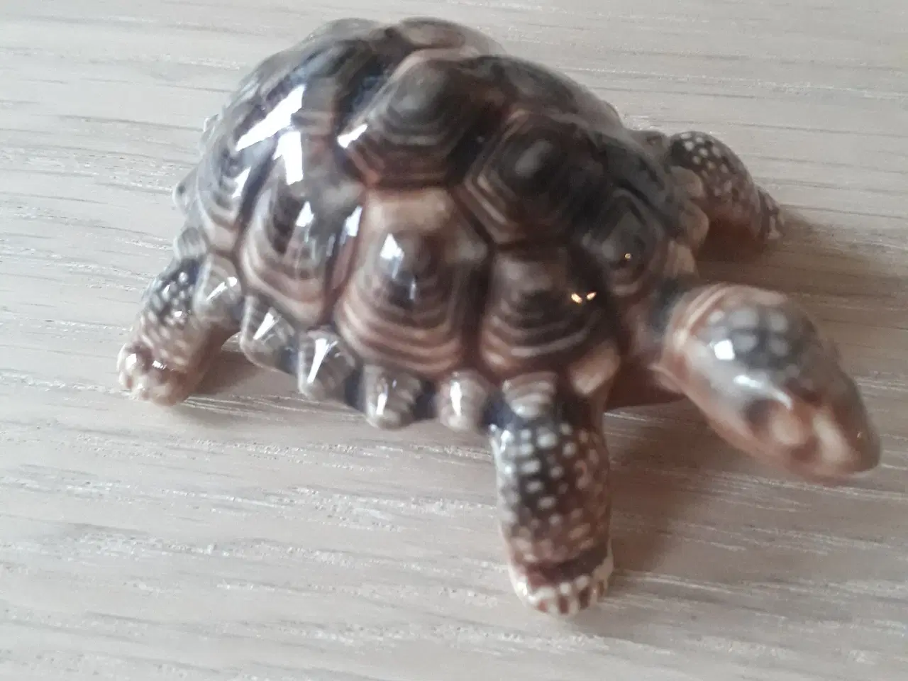 Billede 1 - Porcelæn Skildpadde Wade Porcelain