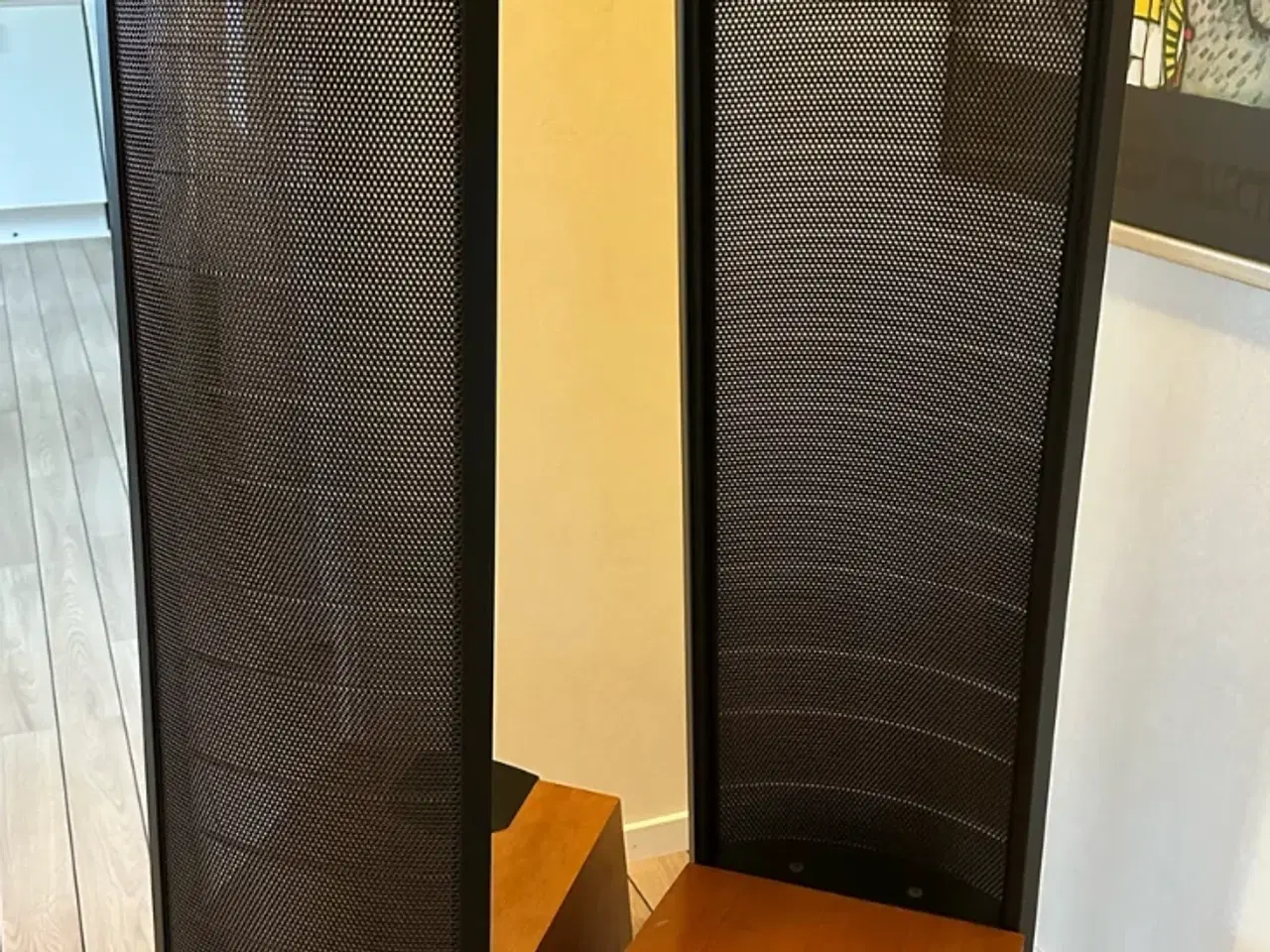 Billede 2 - Martin Logan Spire