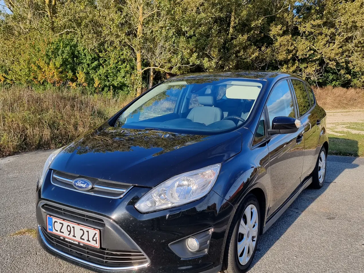 Billede 1 - Ford C-max 1.0 100 HK 