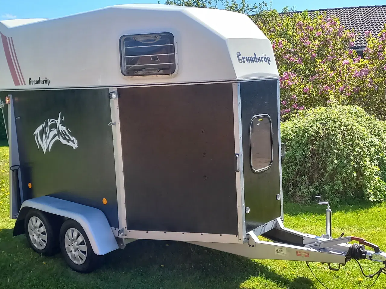 Billede 1 - Hestetrailer 1500 kg. Brenderup