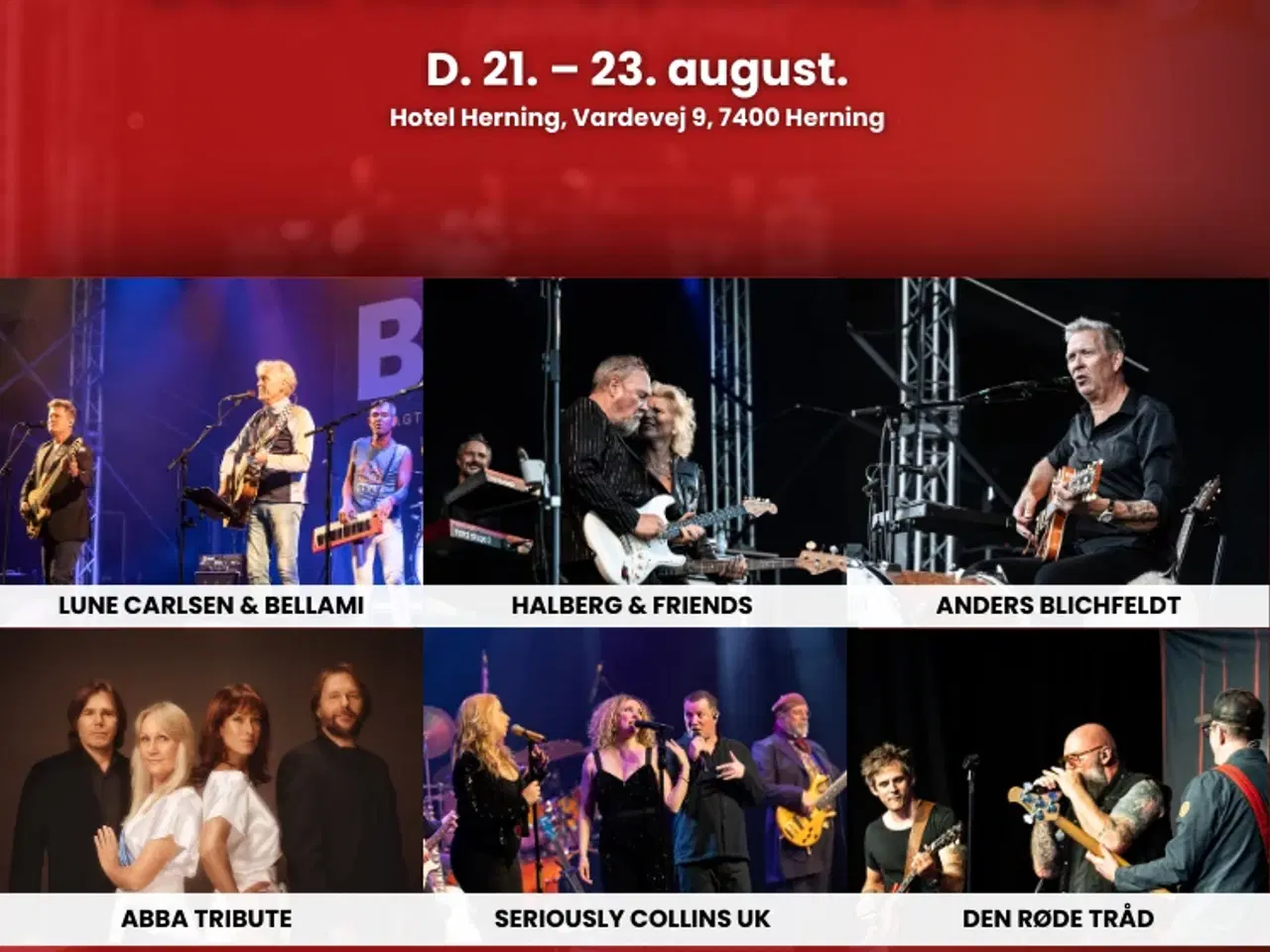 Billede 1 - Dolphin Festival 2026 - 2 billetter med hotel