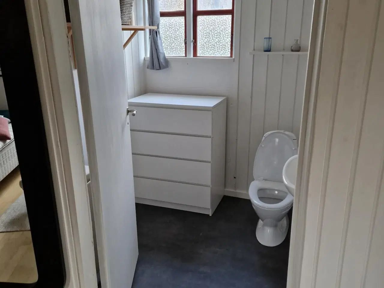 Billede 6 - Kolonihave i Odense C