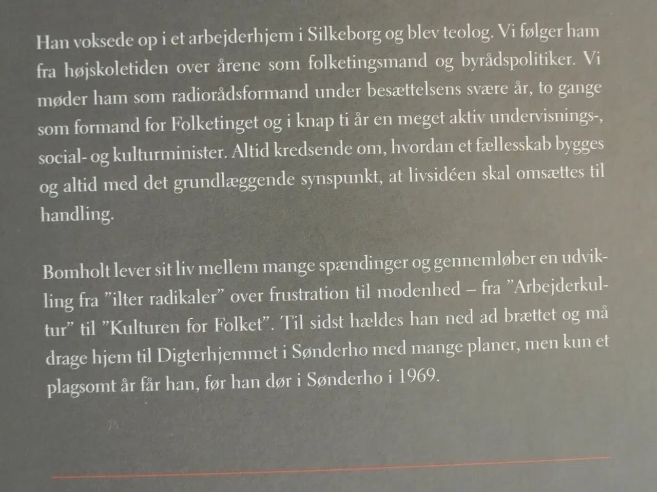 Billede 4 - julius bomholt - fra ide til handling, af jørn hen