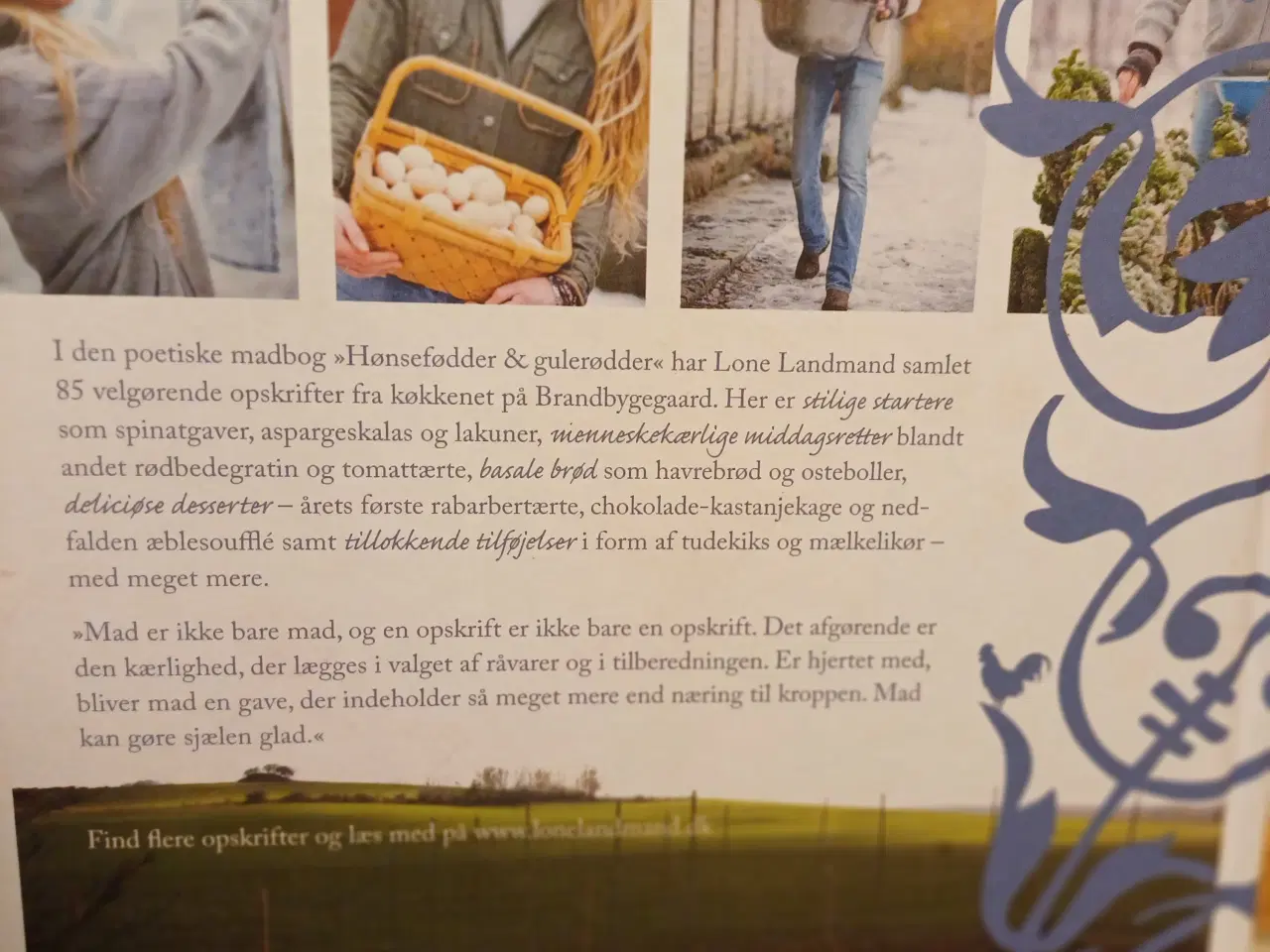 Billede 7 - Hønsefødder & Gulerødder opskrifter og tanker