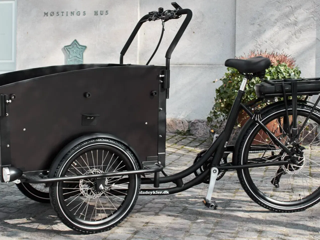 Billede 1 - Electric charging bike – Premium (AMLADCYKLER)