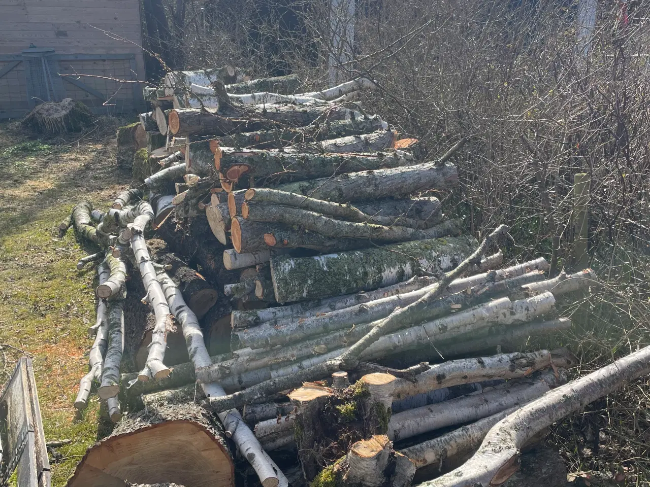 Billede 2 - blandet brænde