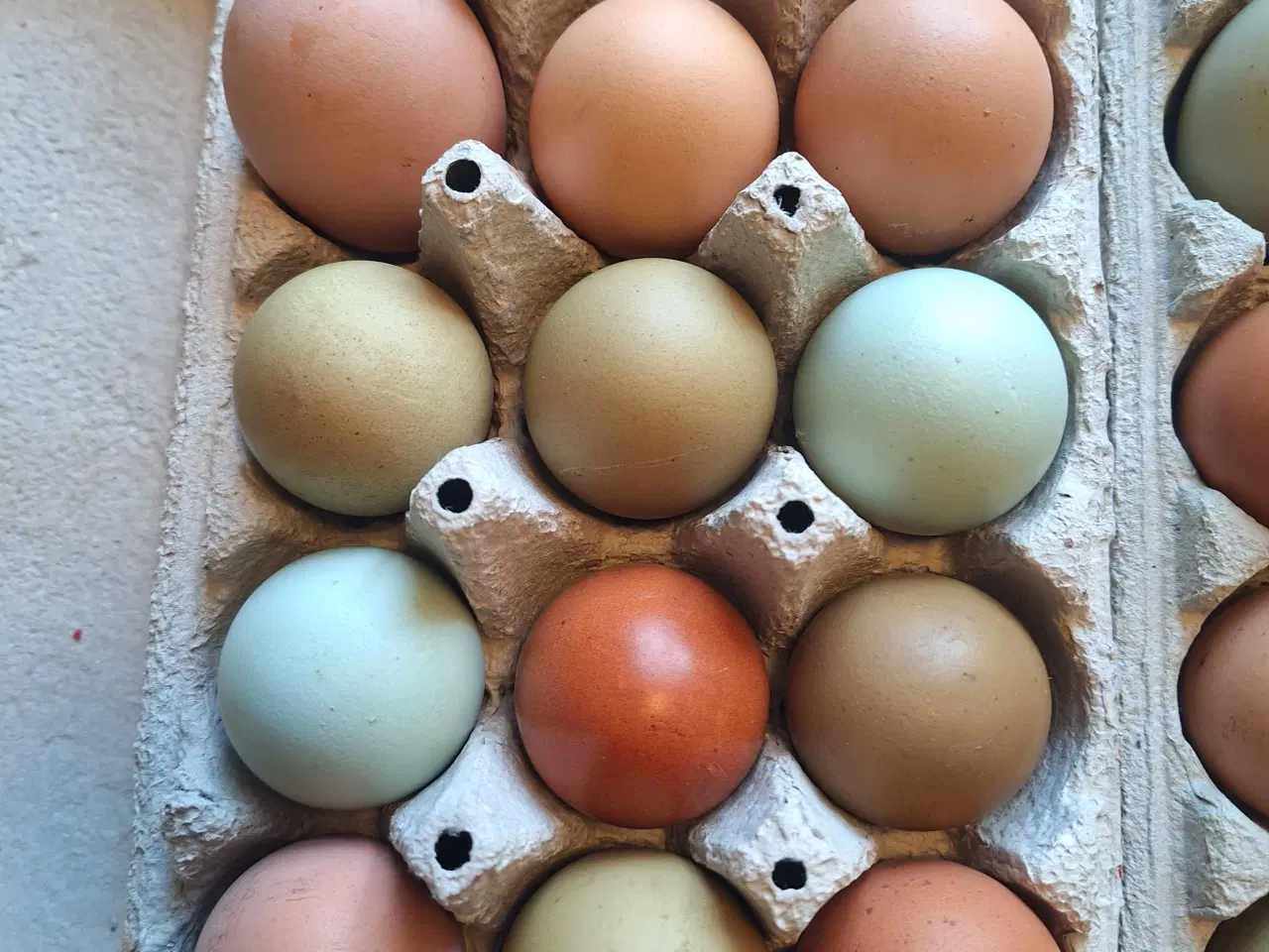 Billede 5 - Rugeæg fra blandet flok 